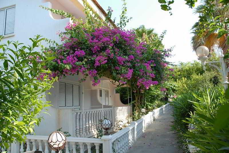 Riverside Garden Resort Karavas  外观 照片